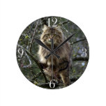 Maine Coon Long-hair Tabby Cat Animal Pet Clock