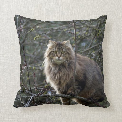 Maine Coon Long-hair Tabby Cat Animal Pet Throw Pillow Zazzle
