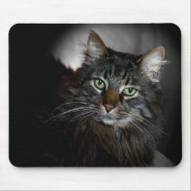 Maine Coon mousepads