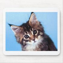 Maine Coon mousepads