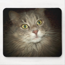 Maine Coon mousepads