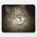 Maine Coon Mouse Pad Maine Coon Mouse Pad