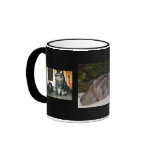 MAINE COON mugs