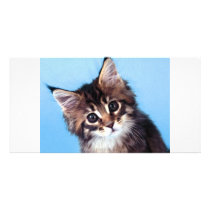 Maine Coon Custom Photo Card