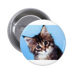 Maine Coon Pinback Button
