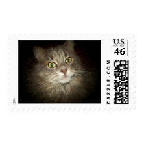Maine Coon postage by BambiW Maine Coon postage