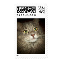 Maine Coon postage by BambiW Maine Coon postage