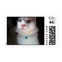 Maine Coon postage by mstina Maine Coon postage
