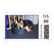 Maine Coon Spa Day postage by asktoto Maine Coon Spa Day postage
