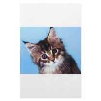 Maine Coon Stationery