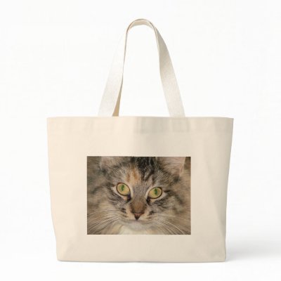 Maine Coon Tabby Cat Canvas Bag by Quequay