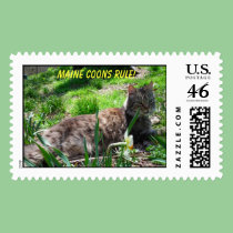MAINE COONS RULE! POSTAGE postage
