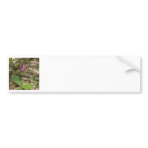 Maine Lady Slipper Orchids in Wells Maine - photo Bumper Sticker