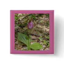Maine Lady Slipper Orchids in Wells Maine - photo Pinback Button