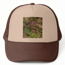 Maine Lady Slipper Orchids in Wells Maine - photo Trucker Hats