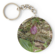 Maine Lady Slipper Orchids in Wells Maine - photo Key Chain