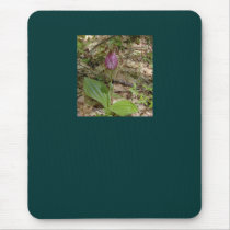 Maine Lady Slipper Orchids in Wells Maine - photo Mouse Pads