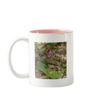 Maine Lady Slipper Orchids in Wells Maine - photo Mug