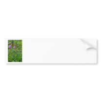 Maine Lady Slippers in Wells Maine - photo by Wend Bumper Stickers