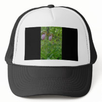 Maine Lady Slippers in Wells Maine - photo by Wend Mesh Hats