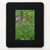 Maine Lady Slippers in Wells Maine - photo by Wend Mouse Pads