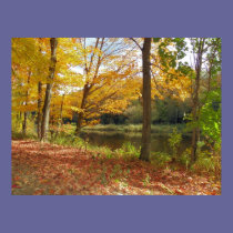 Maine Landscape posters