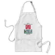 Maine license plate centennial aprons