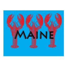maine lobster post card