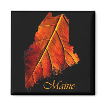 Maine magnets
