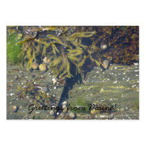 Maine Mini Notecard Business Card