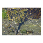 Maine Mini Notecard Business Card