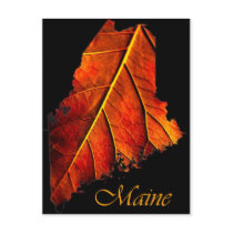 Maine postcards