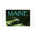 Maine Postcard of a Dragonfly Picture Card