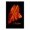 Maine posters