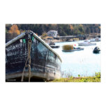 Maine Scenes