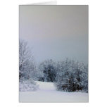 Maine Snow Country