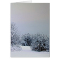 Maine Snow Country cards