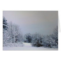 Maine Snow Country cards