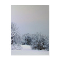 Maine Snow Country postcards