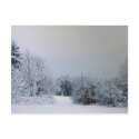 Maine Snow Country postcards by nmpics Maine Snow Country postcards