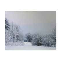 Maine Snow Country postcards