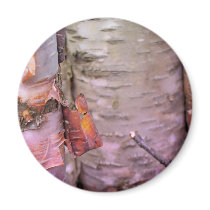 Maine Spring Fridge Magnet