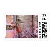 Maine Spring Postage Stamp