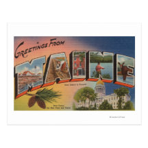 Maine (State Capital/Flower)Large Letter Postcard