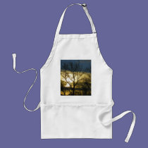 Maine Sunset aprons