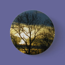 Maine Sunset buttons