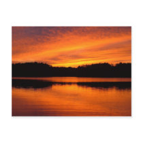 Maine Sunset postcards