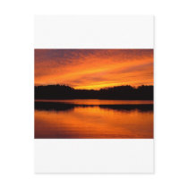 Maine Sunset postcards