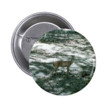 Maine Whitetail Pinback Buttons