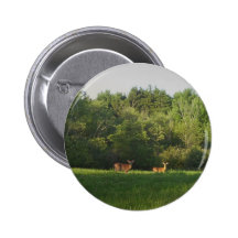 Maine Whitetails Pins